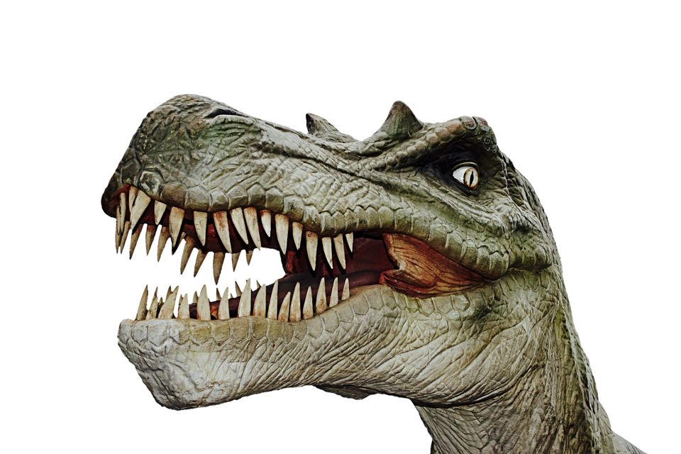 Ferocious Dinosaur Head Roar PNG Image