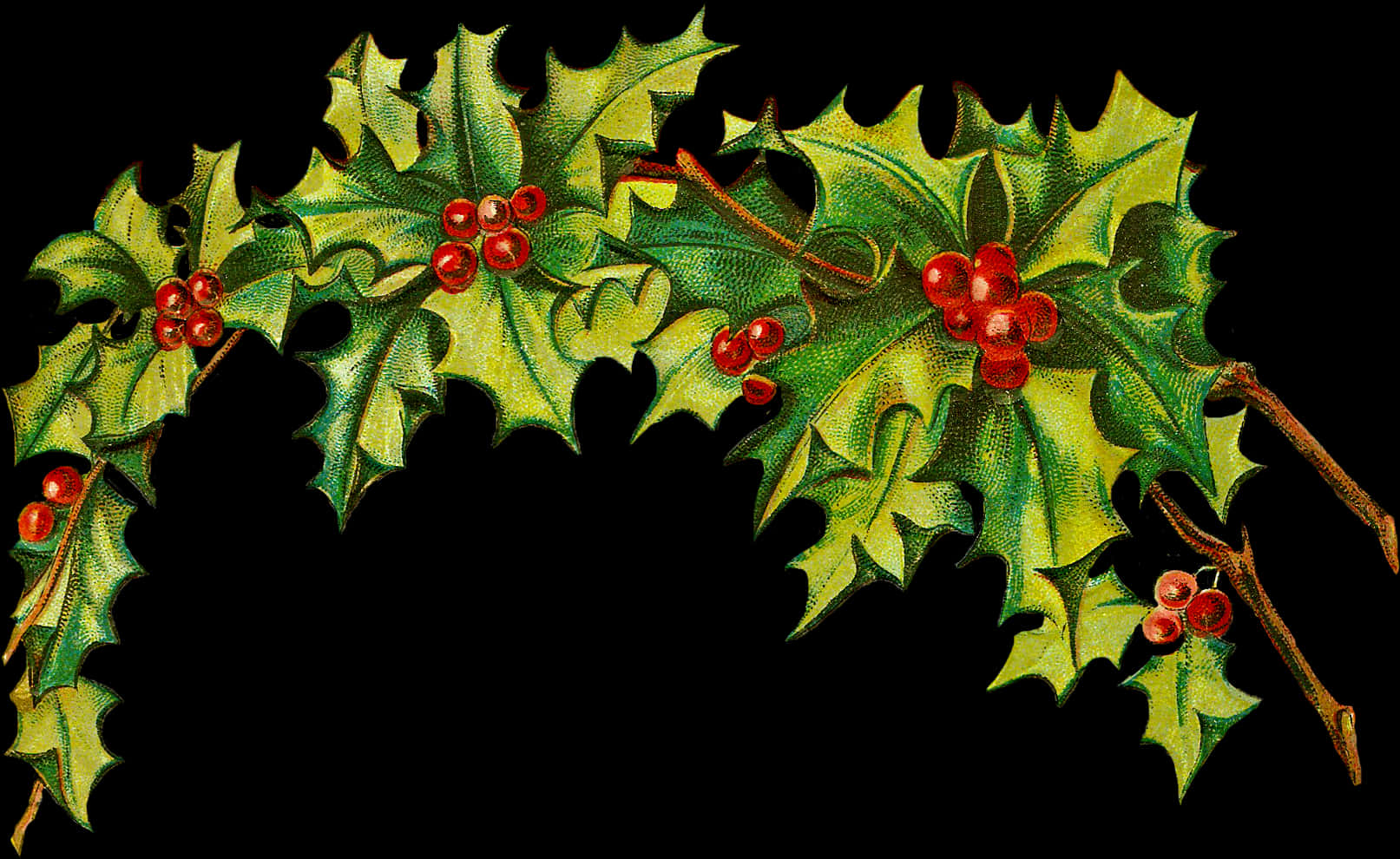 Festive Holly Border Design PNG Image