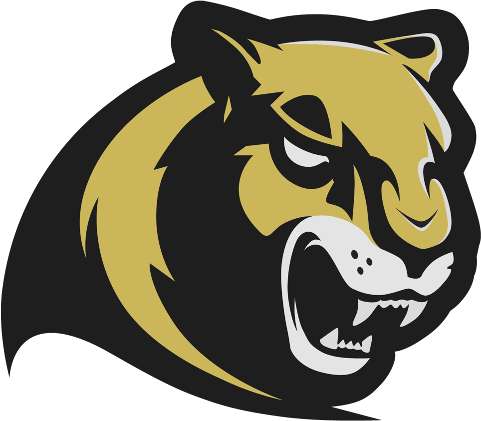 Fierce Cougar Mascot Graphic PNG Image