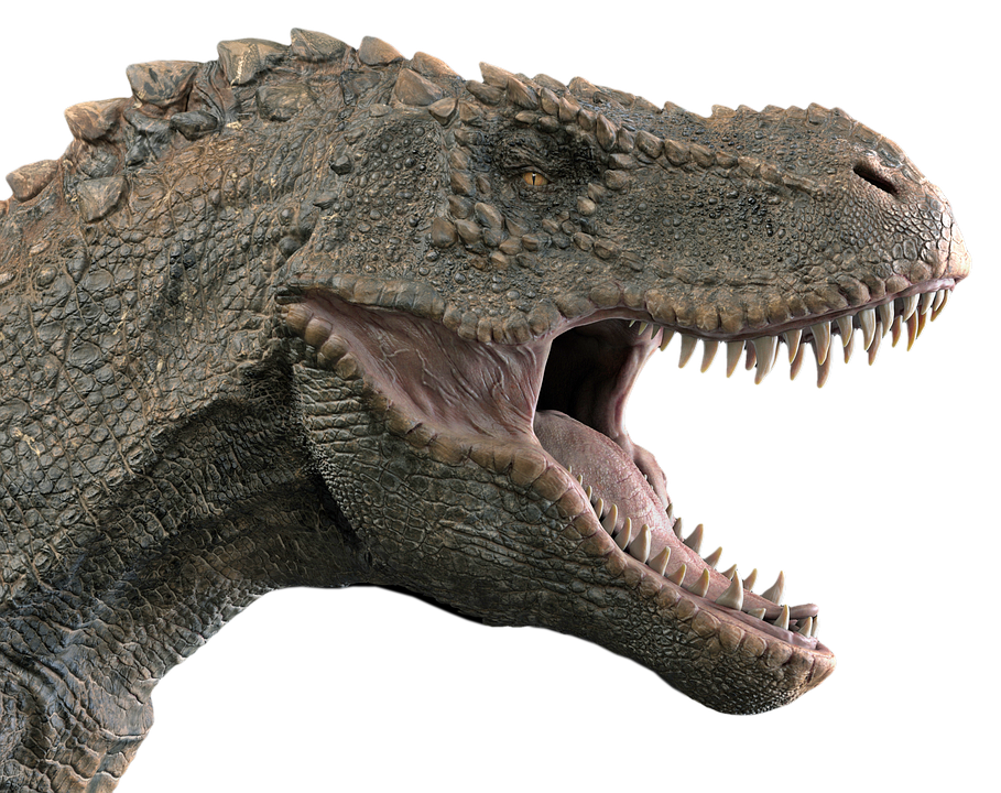 Fierce Dinosaur Head Profile PNG Image