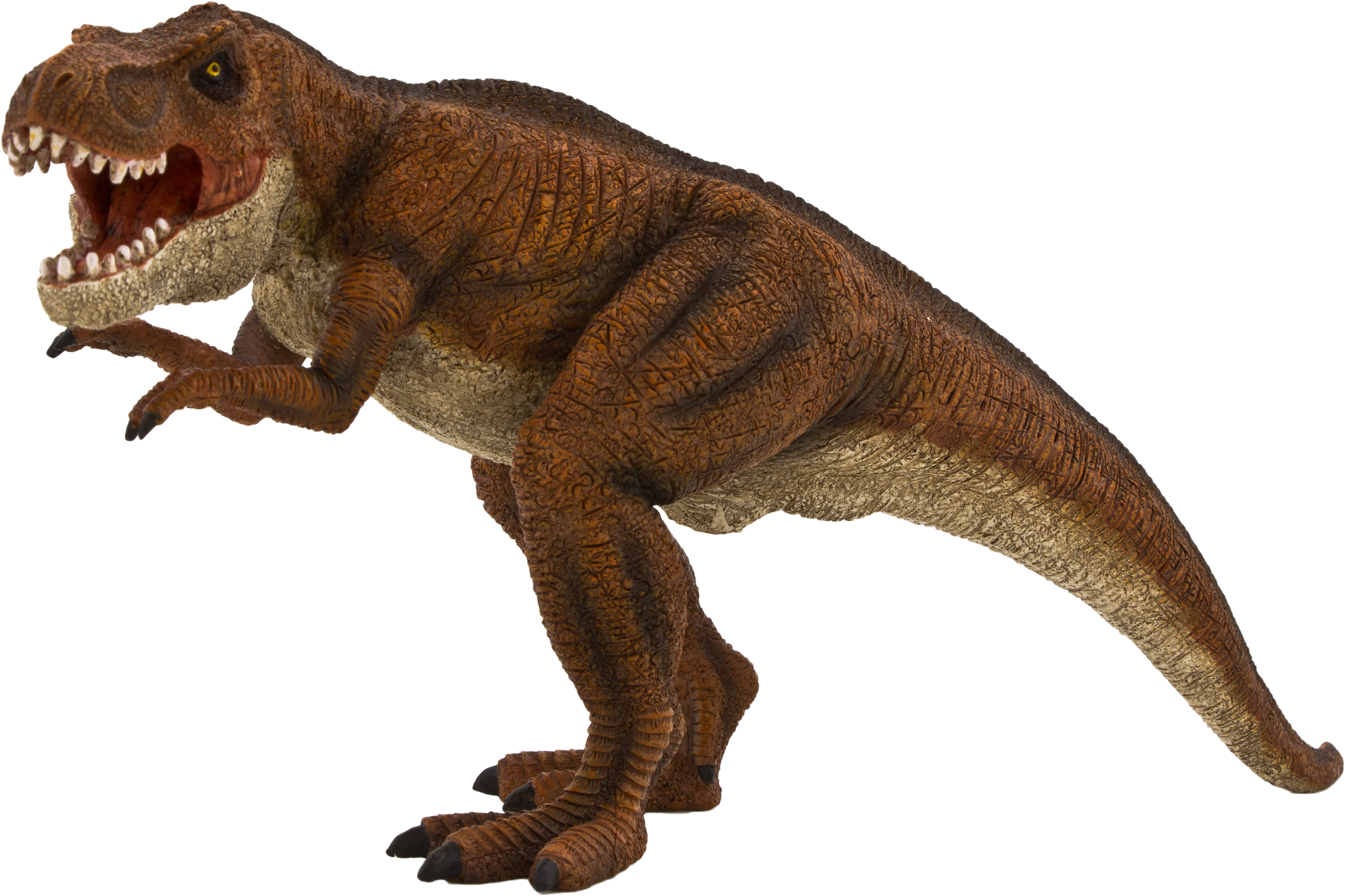 Fierce Tyrannosaurus Rex P N G PNG Image