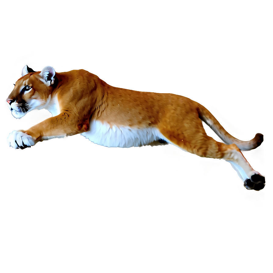 Fiery Cougar Spirit Png Rhp PNG Image