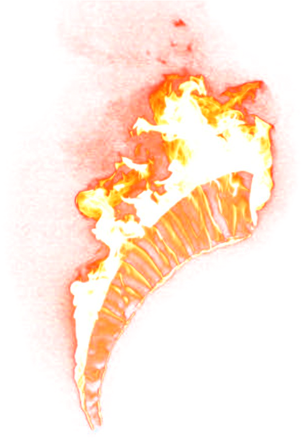 Fiery Shell Art Effect PNG Image