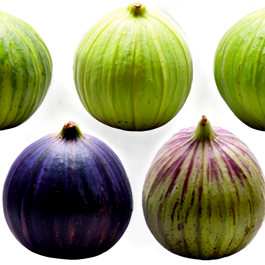 Figs In A Row Png 06252024 PNG Image