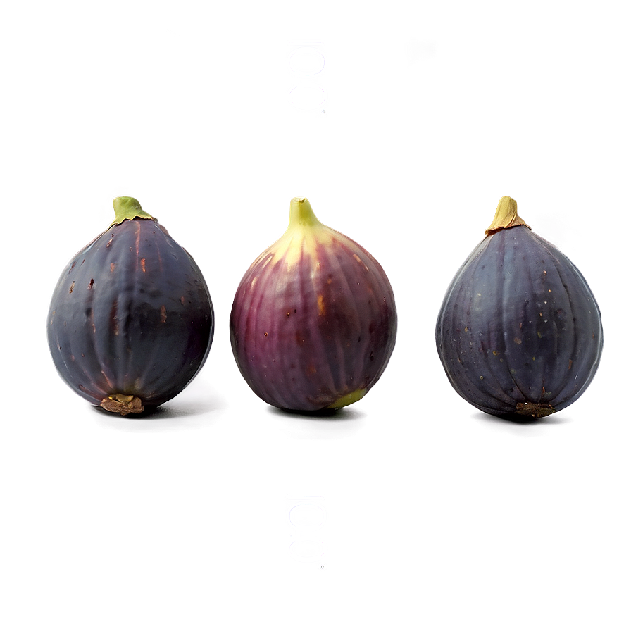 Figs In A Row Png 06252024 PNG Image