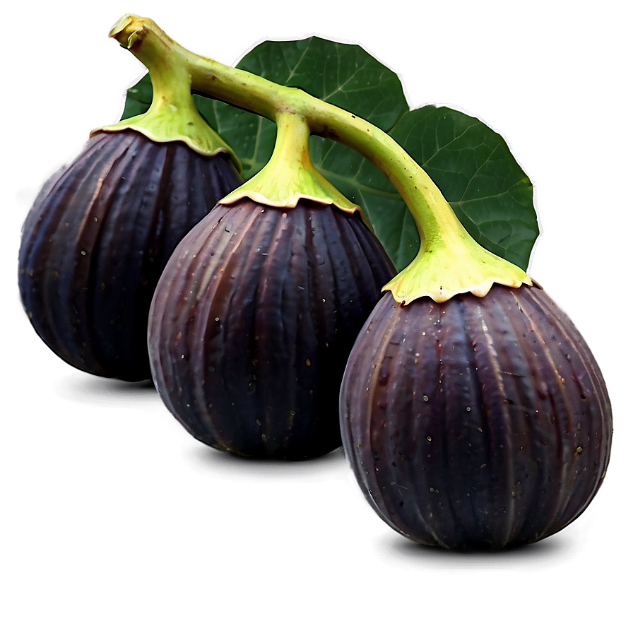 Figs On Vine Png 89 PNG Image