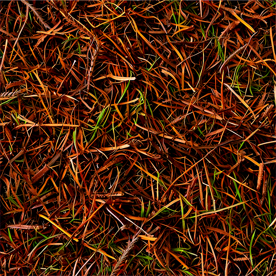 Fine Pine Needle Mulch Png Xaf PNG Image