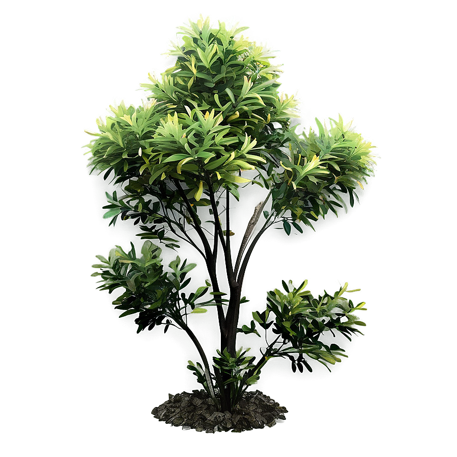 Fire-resistant Bush Png Xry PNG Image