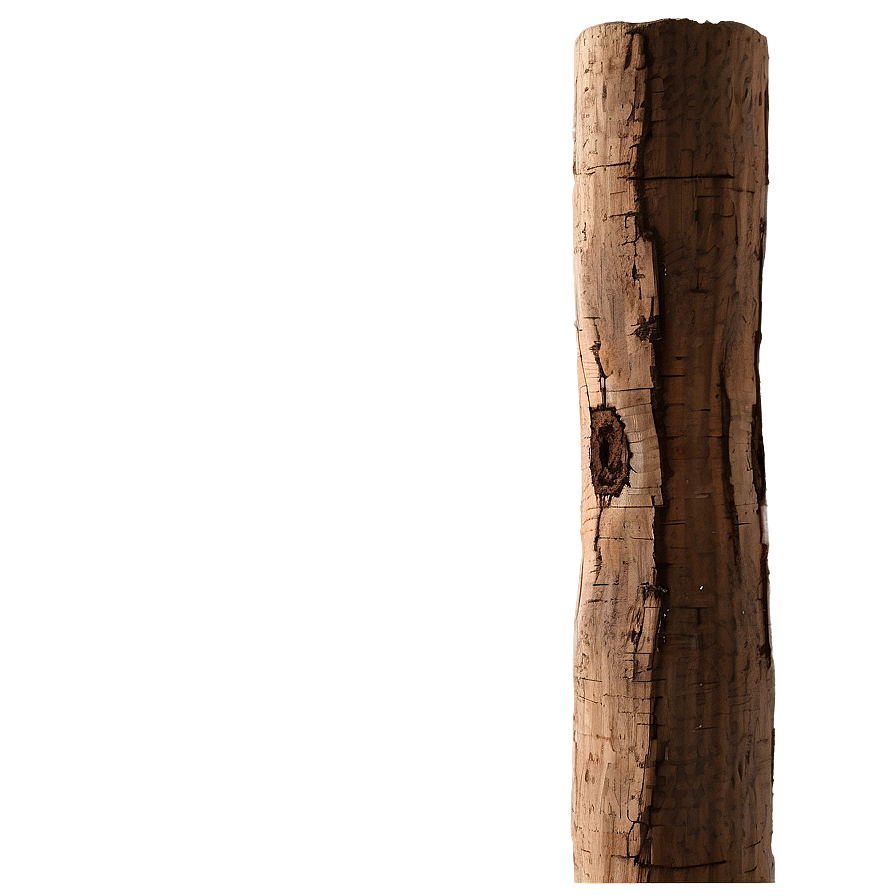 Firewood Sticks Png 72 PNG Image