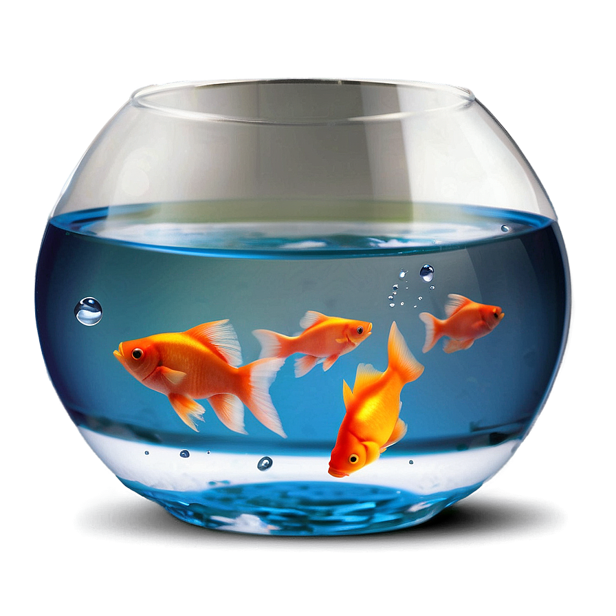 Fish Bowl Png Nxk6 PNG Image