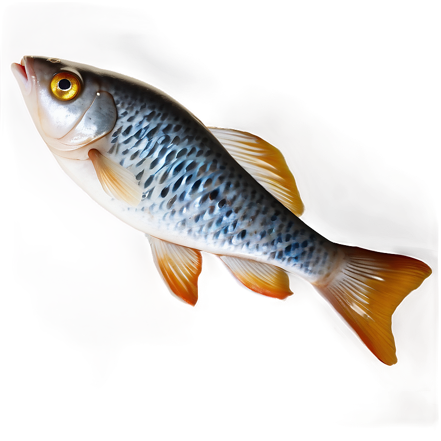 Fish Icon Transparent Png 20 PNG Image