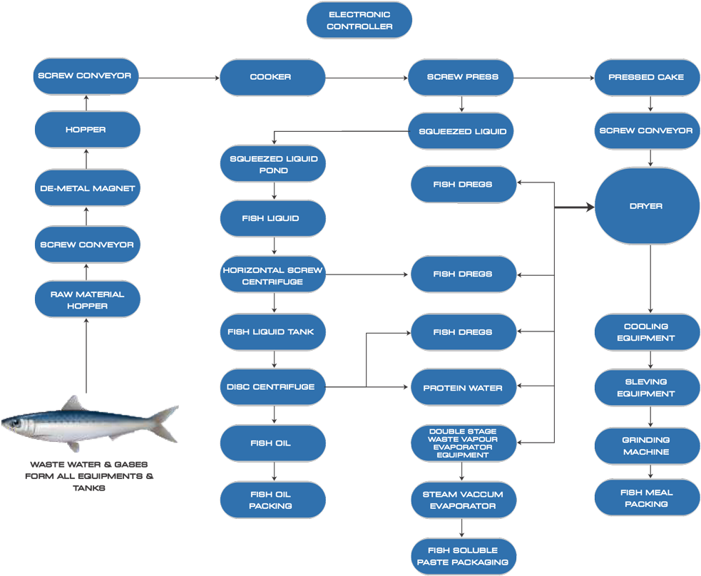 Fish Processing Flowchart Diagram PNG Image