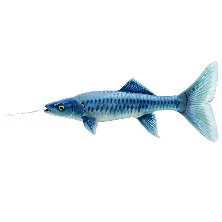 Fish Tail Transparent Png 05262024 PNG Image