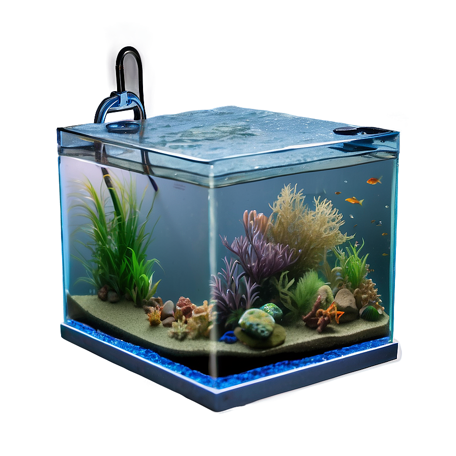 Fish Tank Cleaning Png Pwg PNG Image