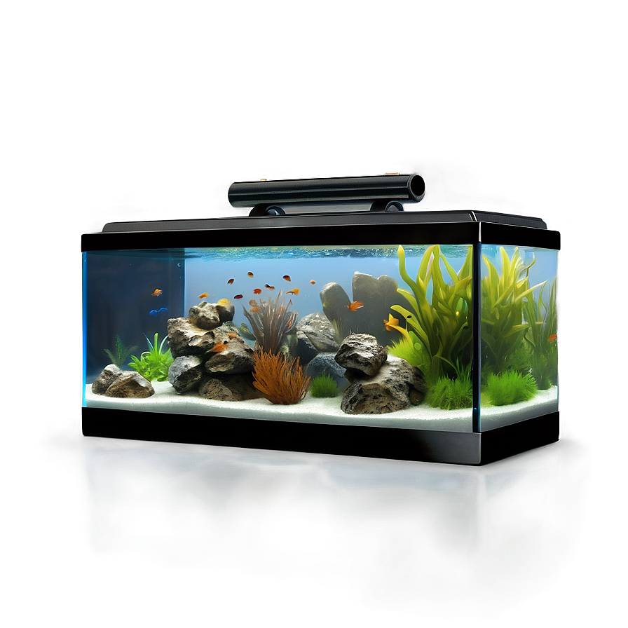 Fish Tank Clip Png 12 PNG Image