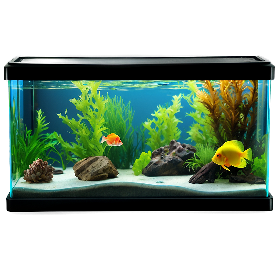 Fish Tank D PNG Image