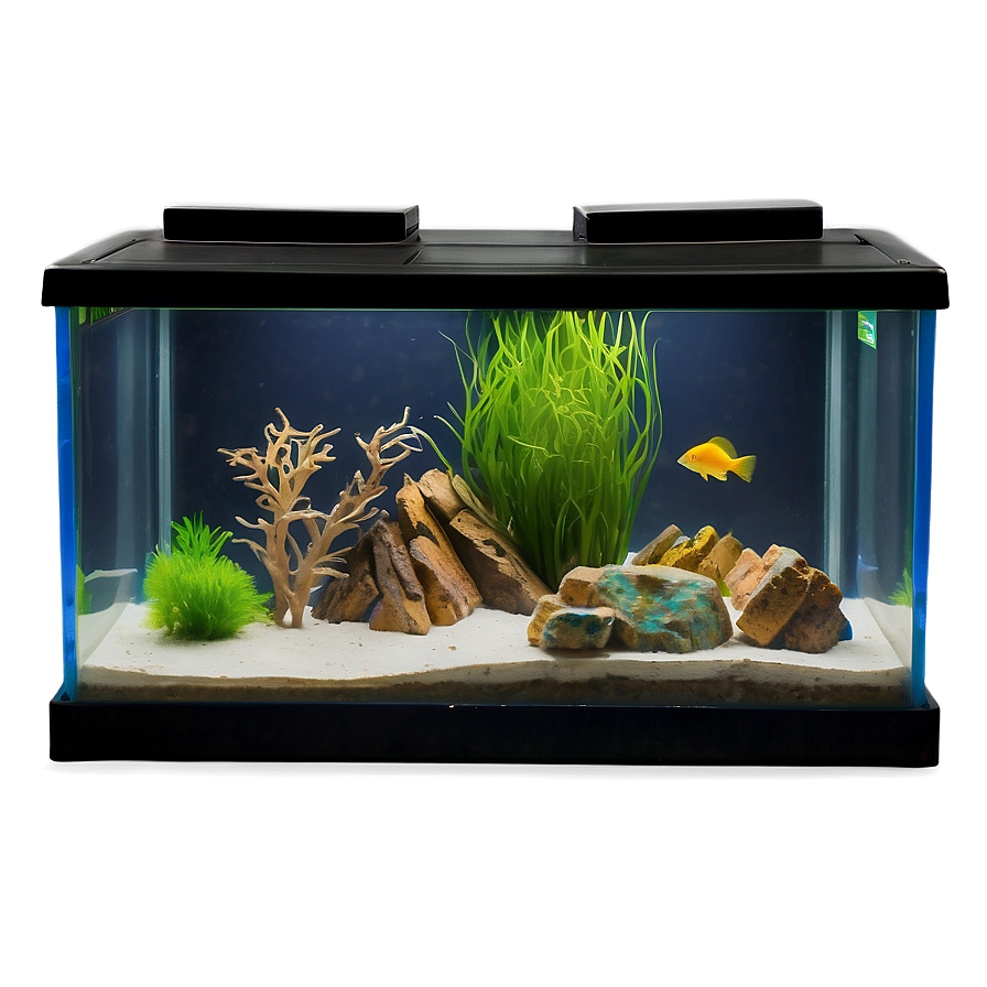 Fish Tank Furniture Png 06122024 PNG Image