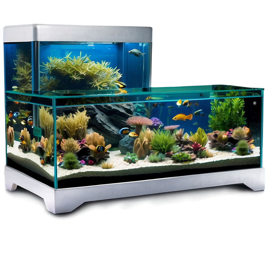 Fish Tank Furniture Png Seg PNG Image