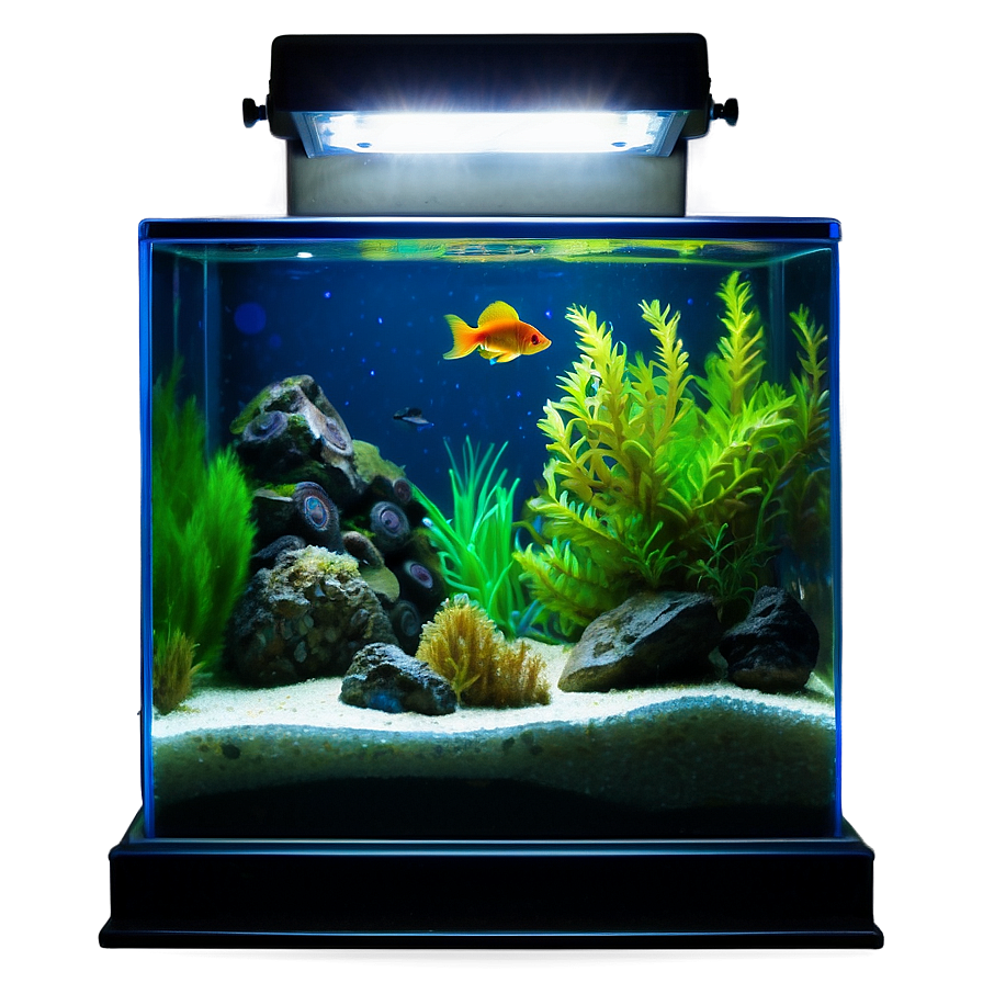 Fish Tank Light Png Cbw48 PNG Image