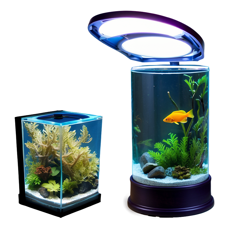 Fish Tank Lighting Png 06122024 PNG Image