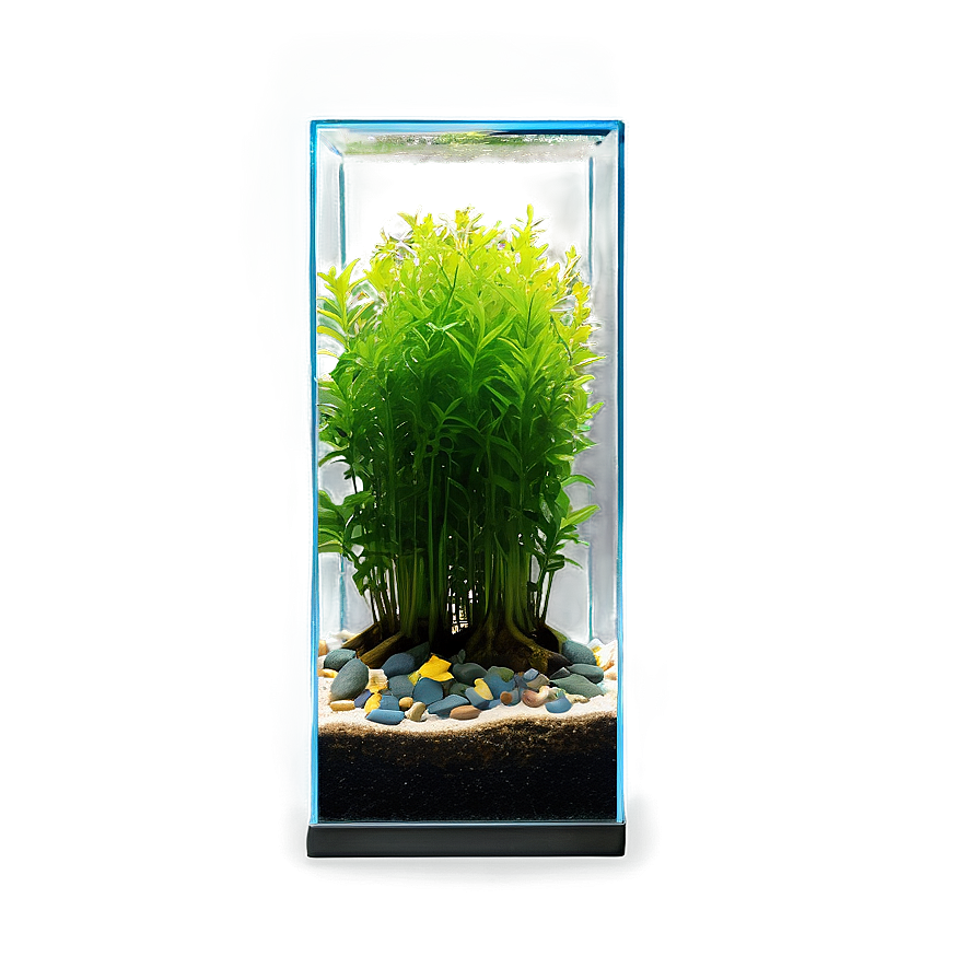 Fish Tank Plants Png 06122024 PNG Image