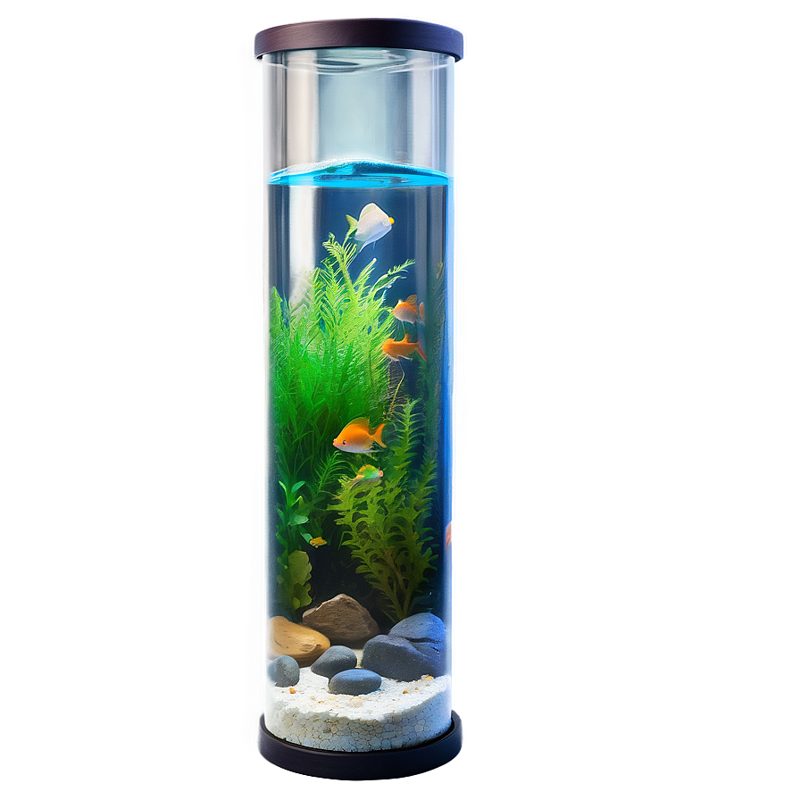 Fish Tank Png 04292024 PNG Image