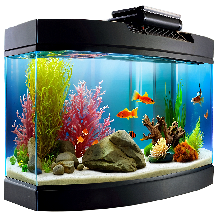 Fish Tank Png Hdr PNG Image