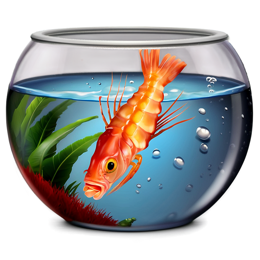 Fishbowl With Shrimp Png 06212024 PNG Image