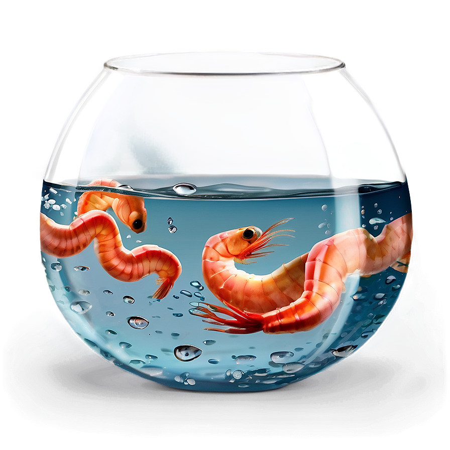 Fishbowl With Shrimp Png 06212024 PNG Image