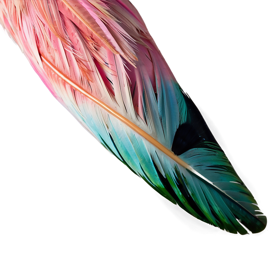 Flamingo Feather Detail Png Ibu24 PNG Image