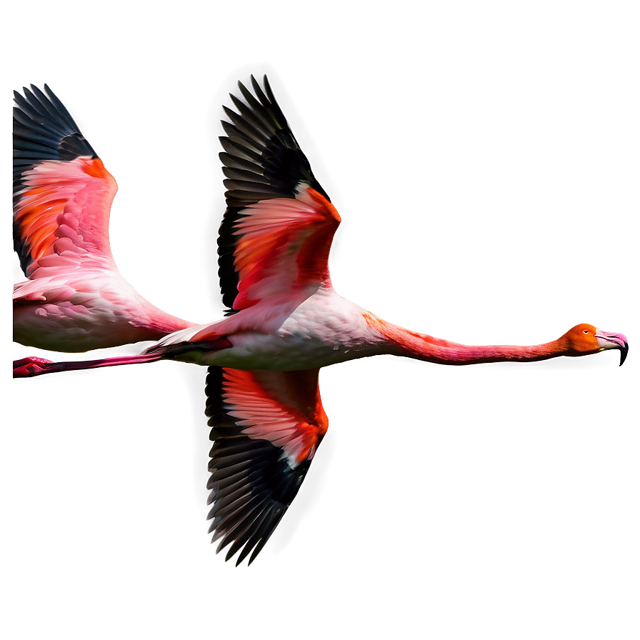 Flamingo Flock In Flight Png Osu PNG Image