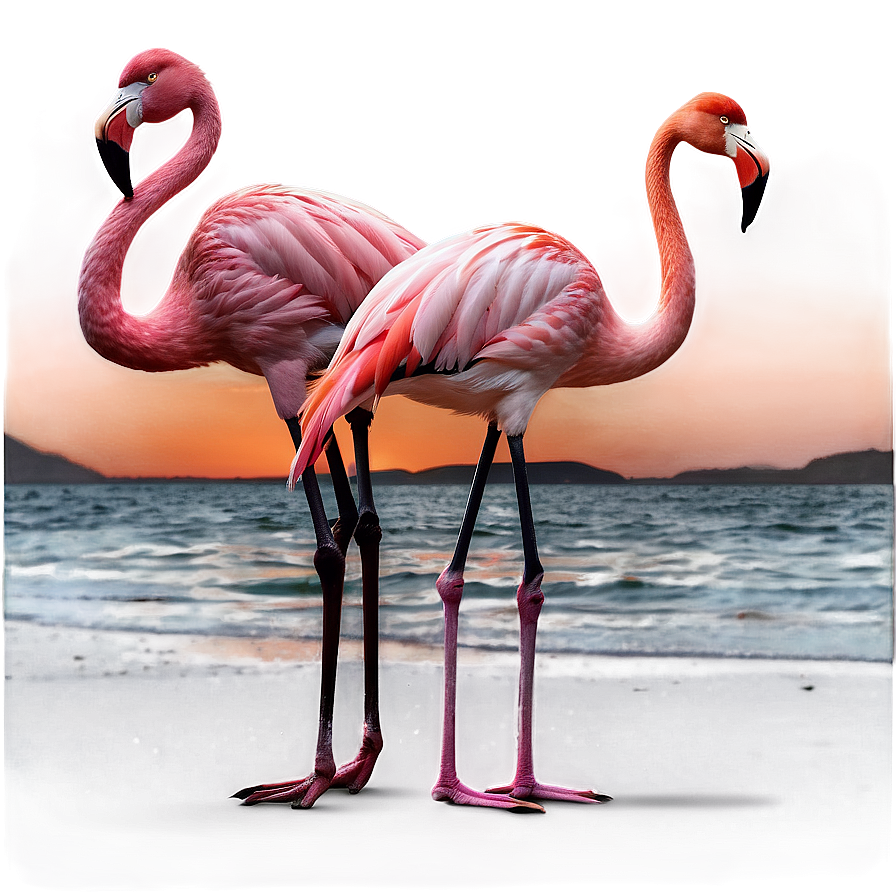 Flamingo Silhouette Sunset Png Vrx76 PNG Image