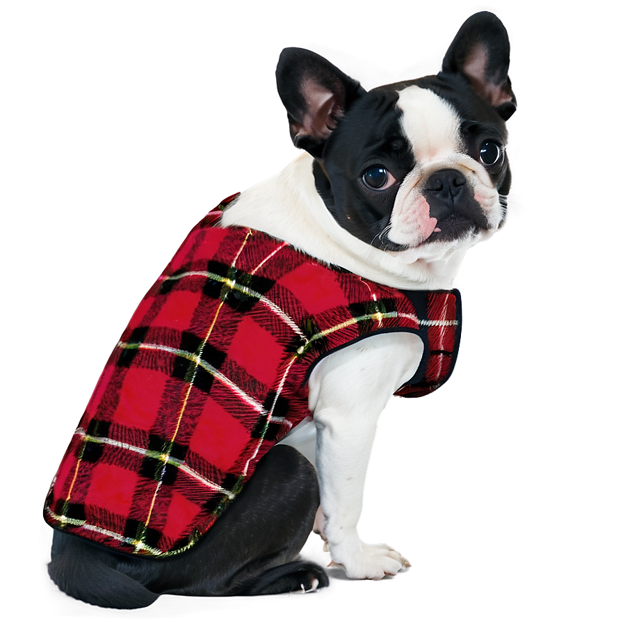 Flannel Dog Coat Png Vsj PNG Image