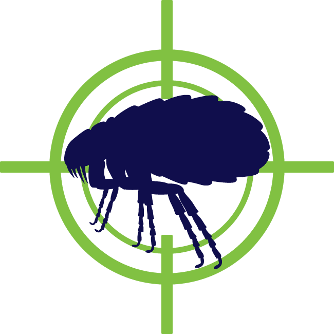 Flea Target Silhouette PNG Image