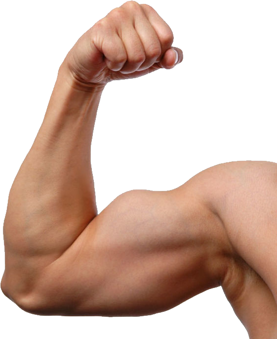 Flexed Bicep Muscular Arm.png PNG Image