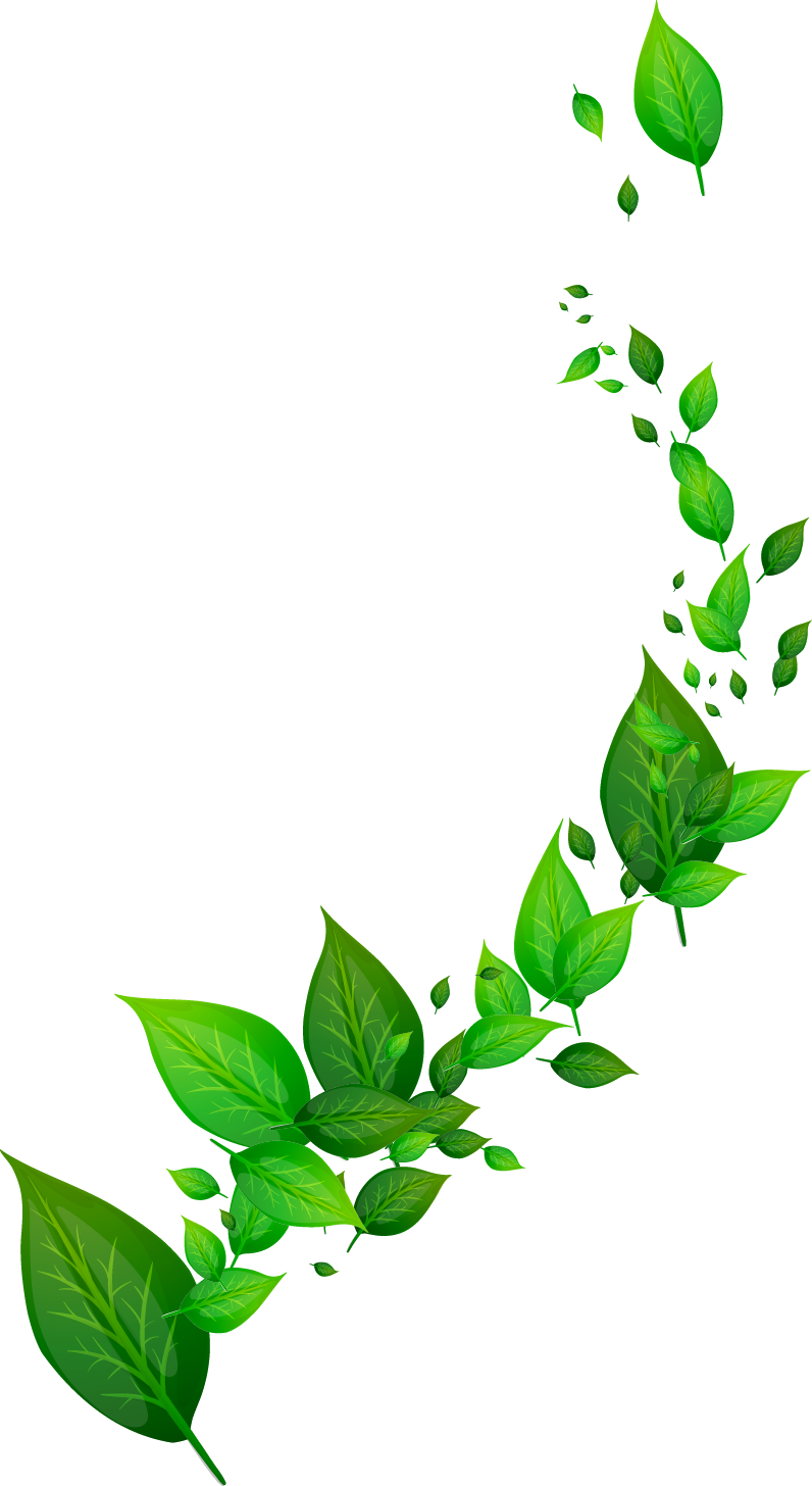 Floating Green Leaves Design PNG Image