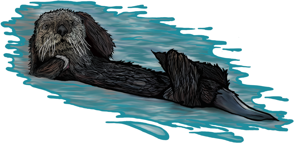 Floating Otter Illustration PNG Image