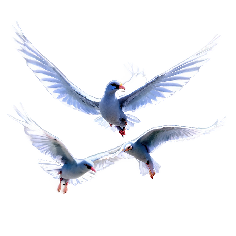 Flock Of Birds Flying Together Png Qvj PNG Image