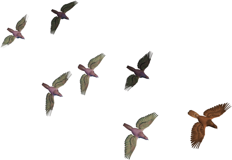 Flock_of_ Birds_in_ Flight PNG Image