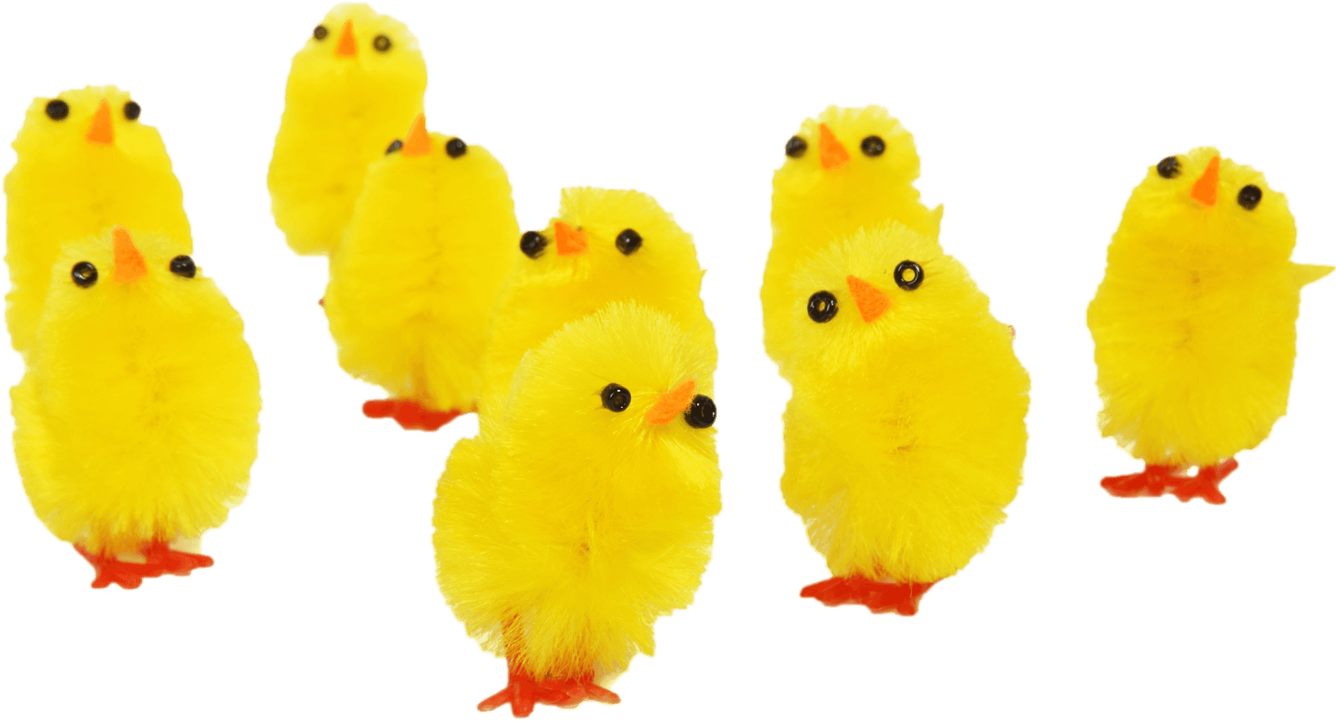 Flock_of_ Fuzzy_ Yellow_ Chicks PNG Image