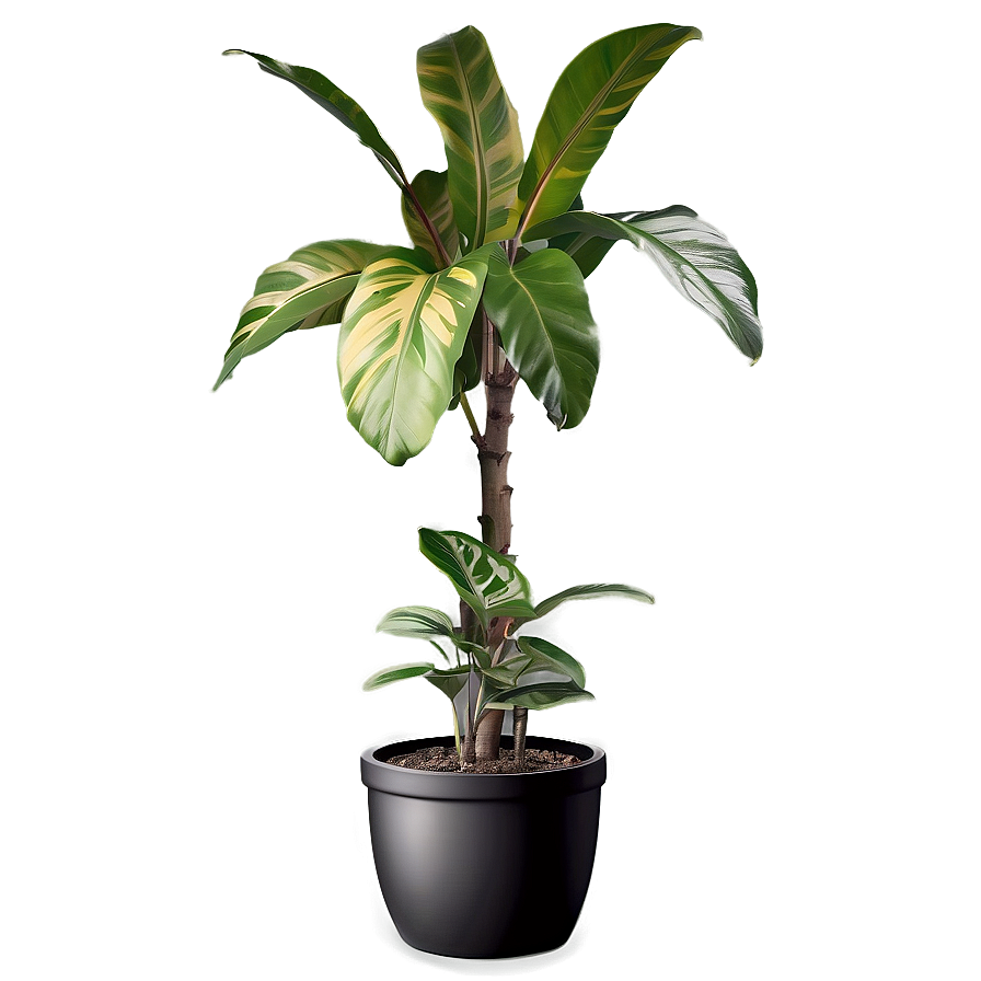 Floor Plant Design Png 06282024 PNG Image