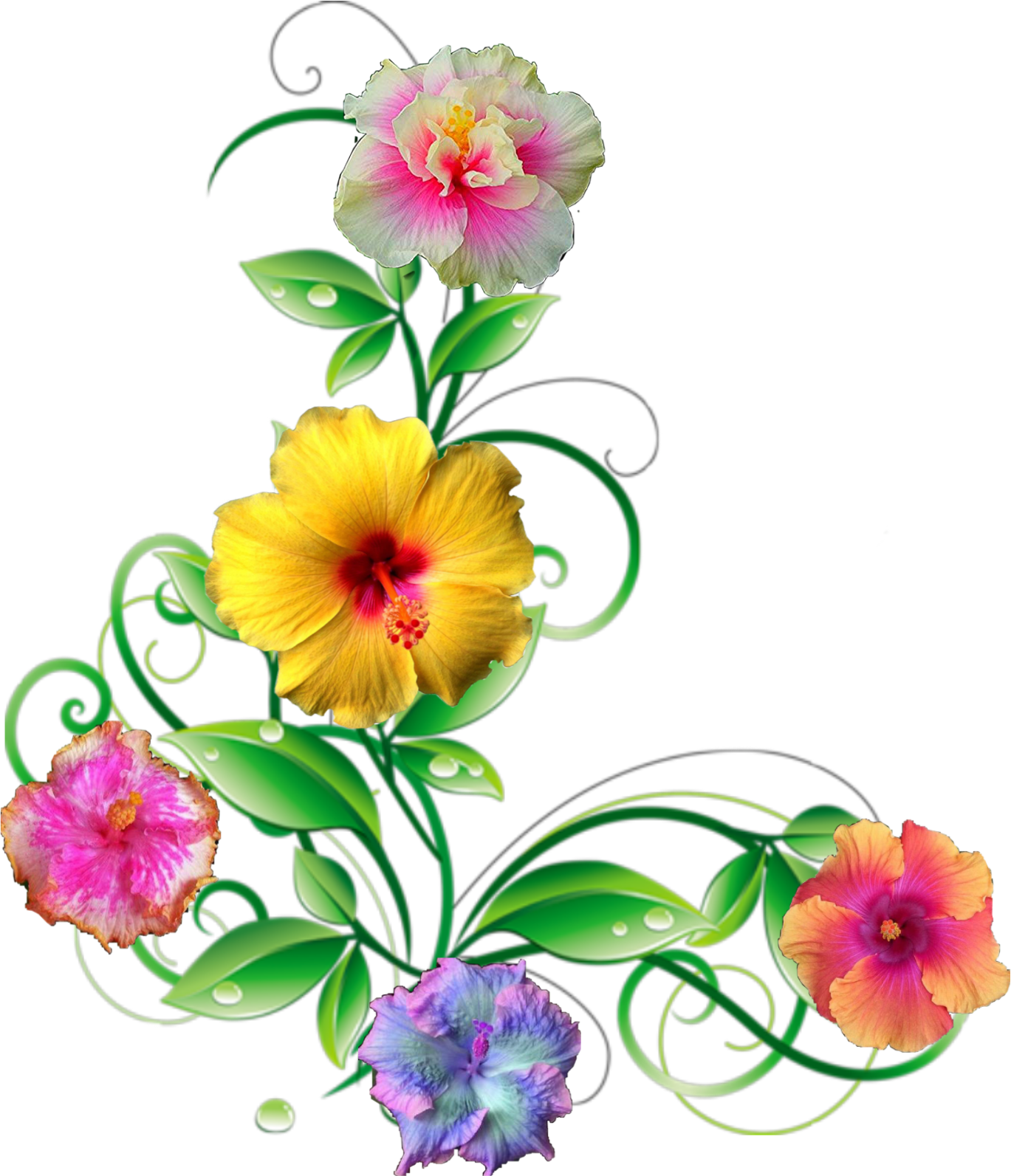 Floral_ Artwork_with_ Leafy_ Accents.png PNG Image