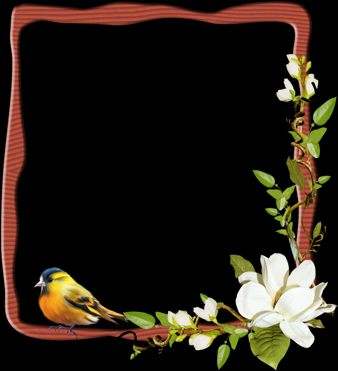 Floral Bird Decorative Photo Frame PNG Image