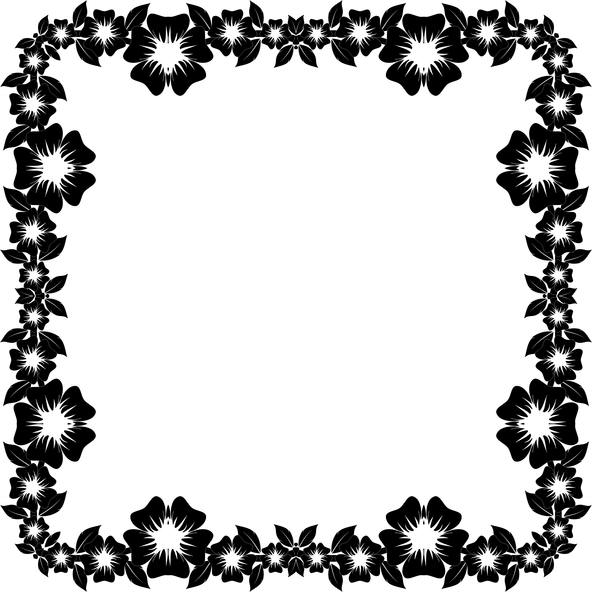 Floral Black Frame Design PNG Image