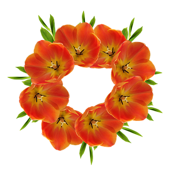 Floral Crown Design PNG Image