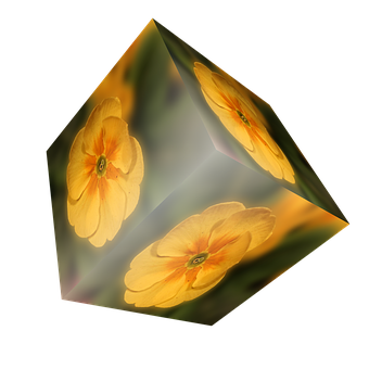 Floral Cube Illusion PNG Image