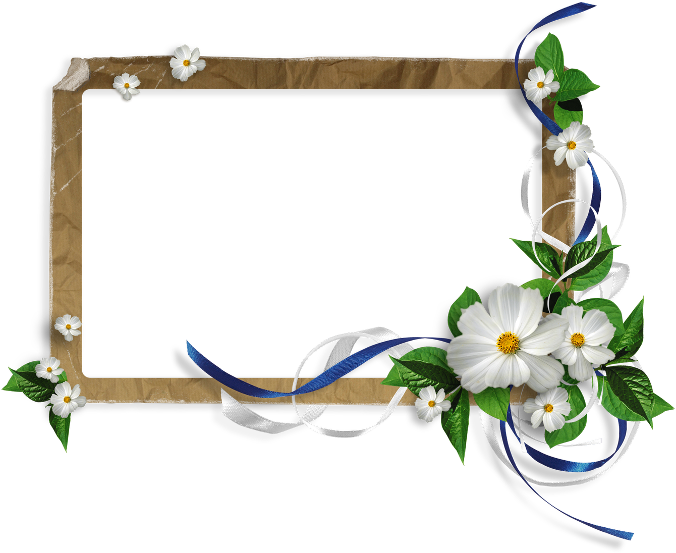 Floral Decorated Frame PNG Image