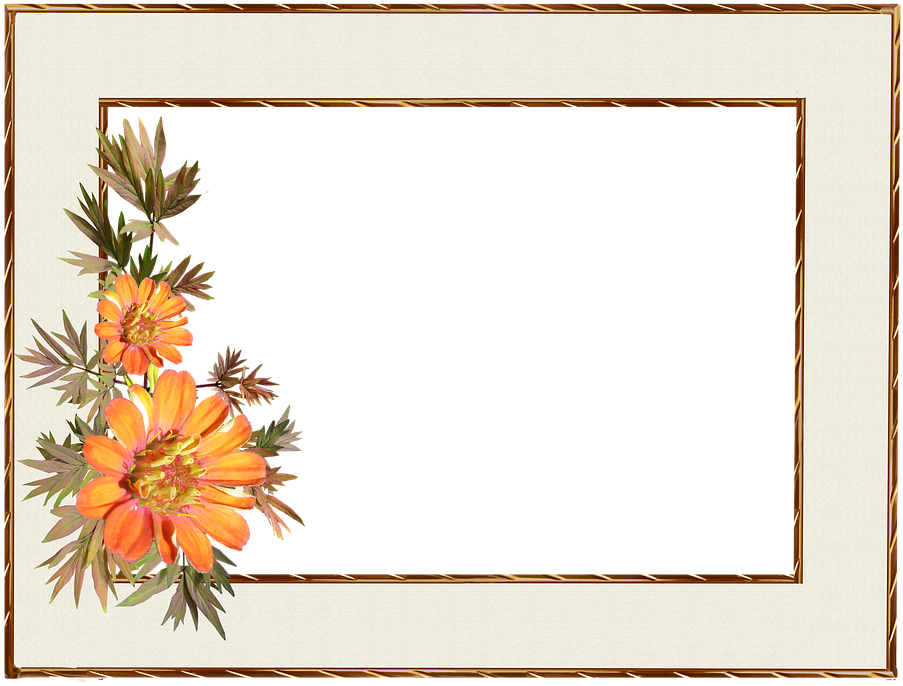 Floral Decorative Border Frame PNG Image