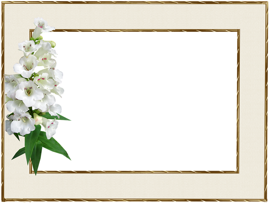 Floral Embellished Gold Frame PNG Image