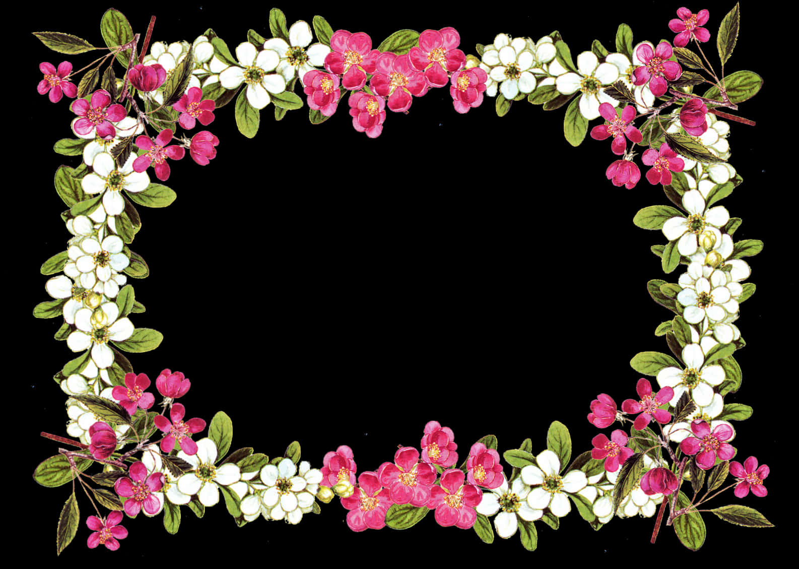 Floral_ Frame_on_ Black_ Background PNG Image